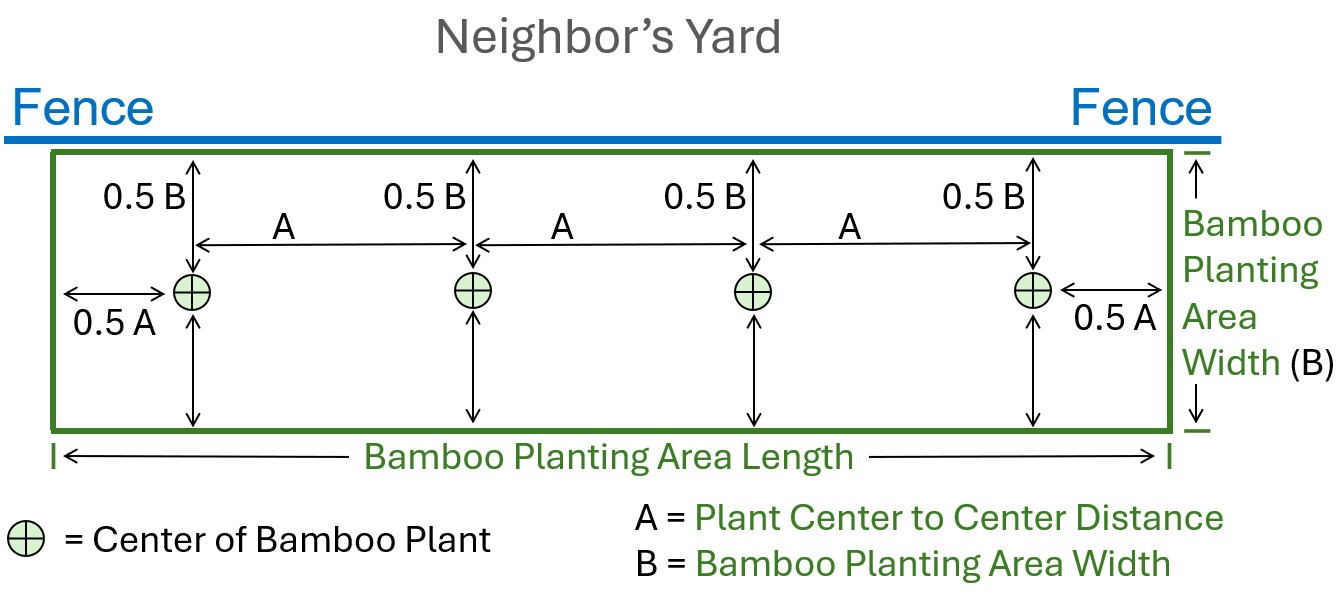 clumping bamboo for privacy planting diagram